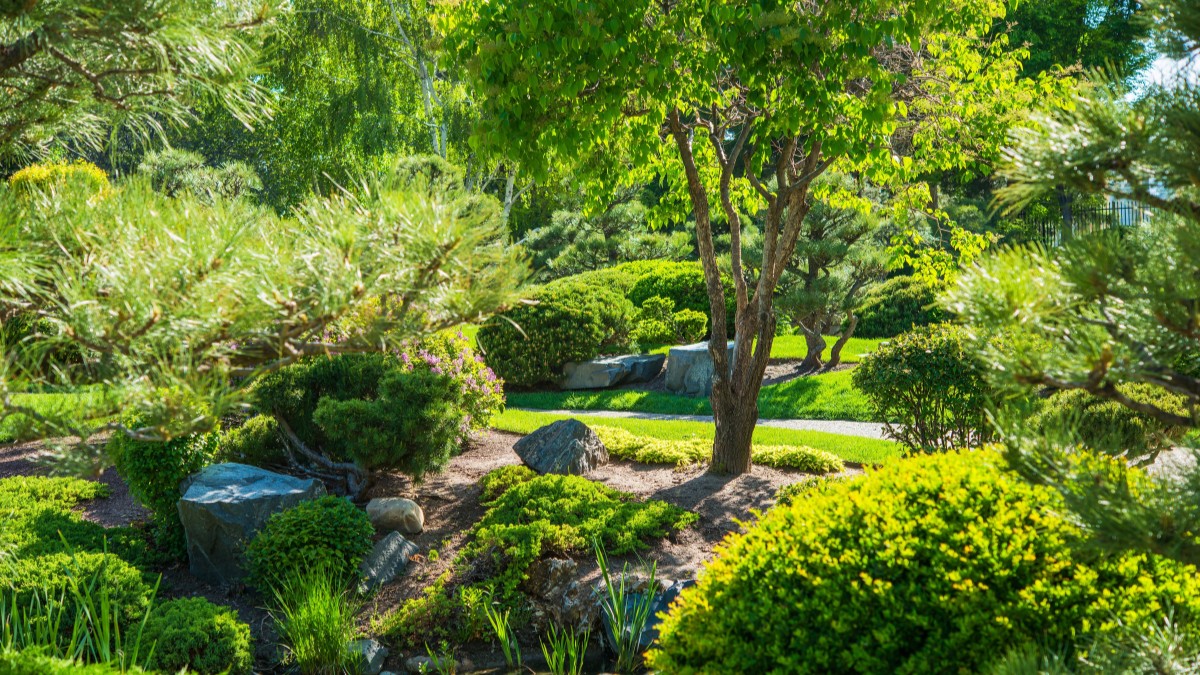 Esplorando la serena bellezza dei giardini in stile giapponese